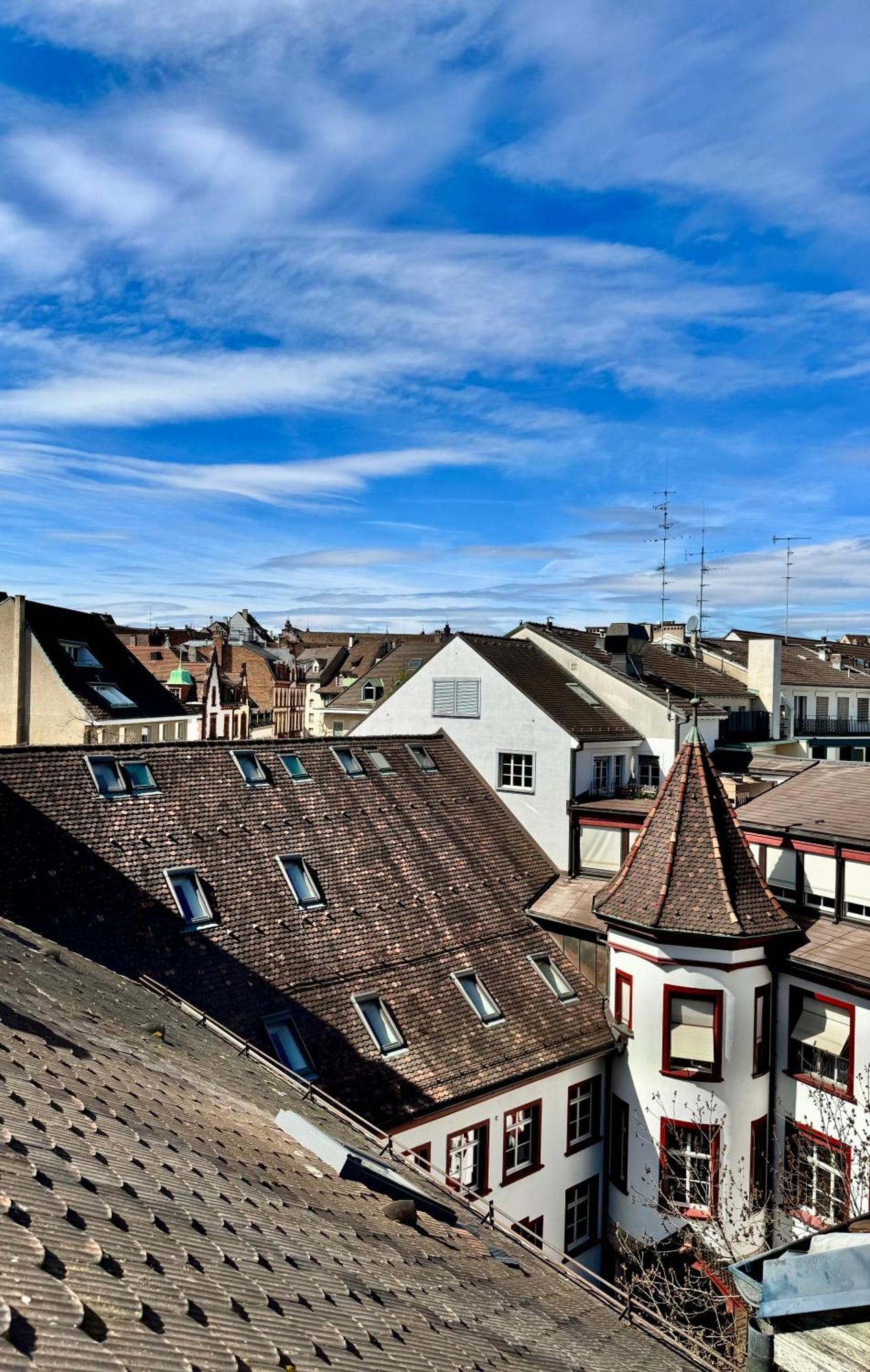 City Center Rooftop Balcony-Studio At Town Hall Basel Ngoại thất bức ảnh